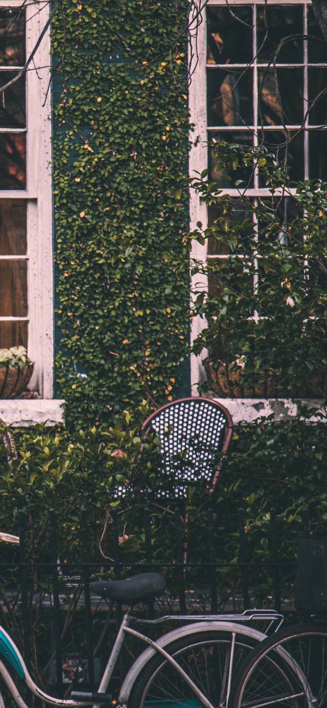 Bicicleta de Ciudad Azul Estacionada Junto a la Ventana de Madera Verde. Wallpaper in 1125x2436 Resolution