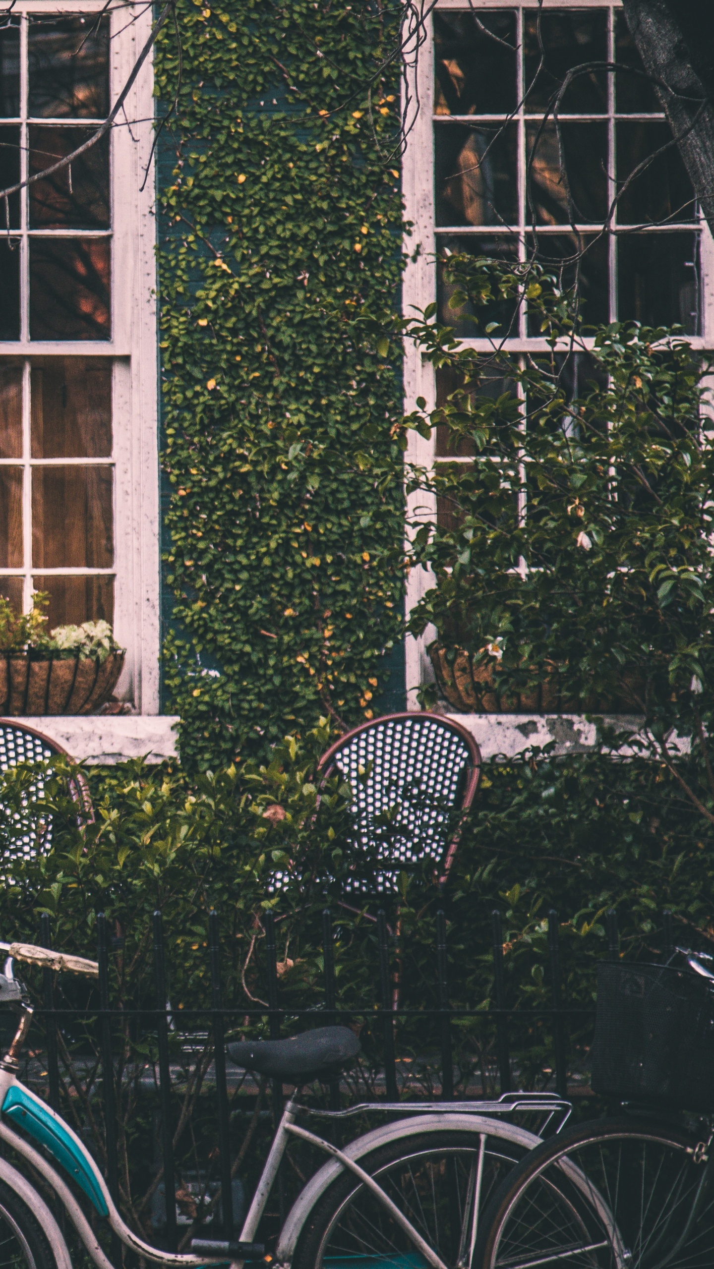 Bicicleta de Ciudad Azul Estacionada Junto a la Ventana de Madera Verde. Wallpaper in 1440x2560 Resolution