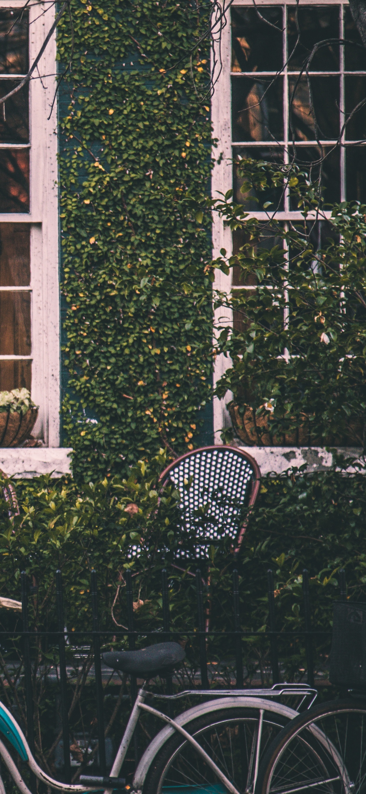 Vélo de Ville Bleu Garé à Côté D'une Fenêtre en Bois Verte. Wallpaper in 1242x2688 Resolution