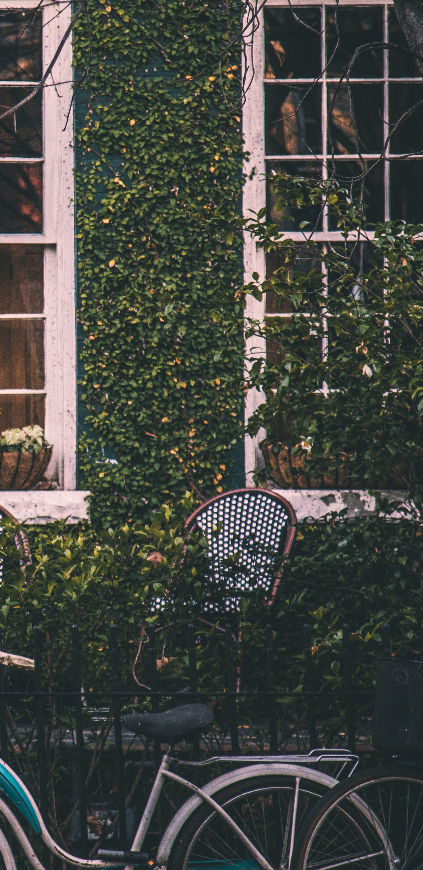 Blue City Bike Parked Beside Green Wooden Window. Wallpaper in 1440x2960 Resolution
