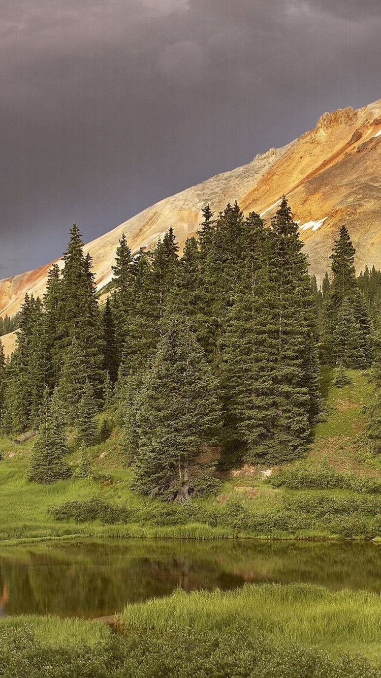 Pinos Verdes Cerca de la Montaña Marrón Bajo un Cielo Azul Durante el Día. Wallpaper in 750x1334 Resolution