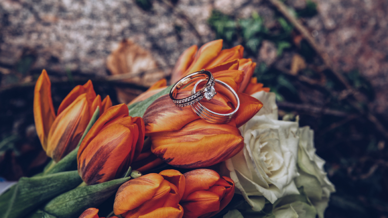 订婚戒指, 结婚戒指, 橙色, 黄色的, 的婚礼仪式供应 壁纸 1280x720 允许