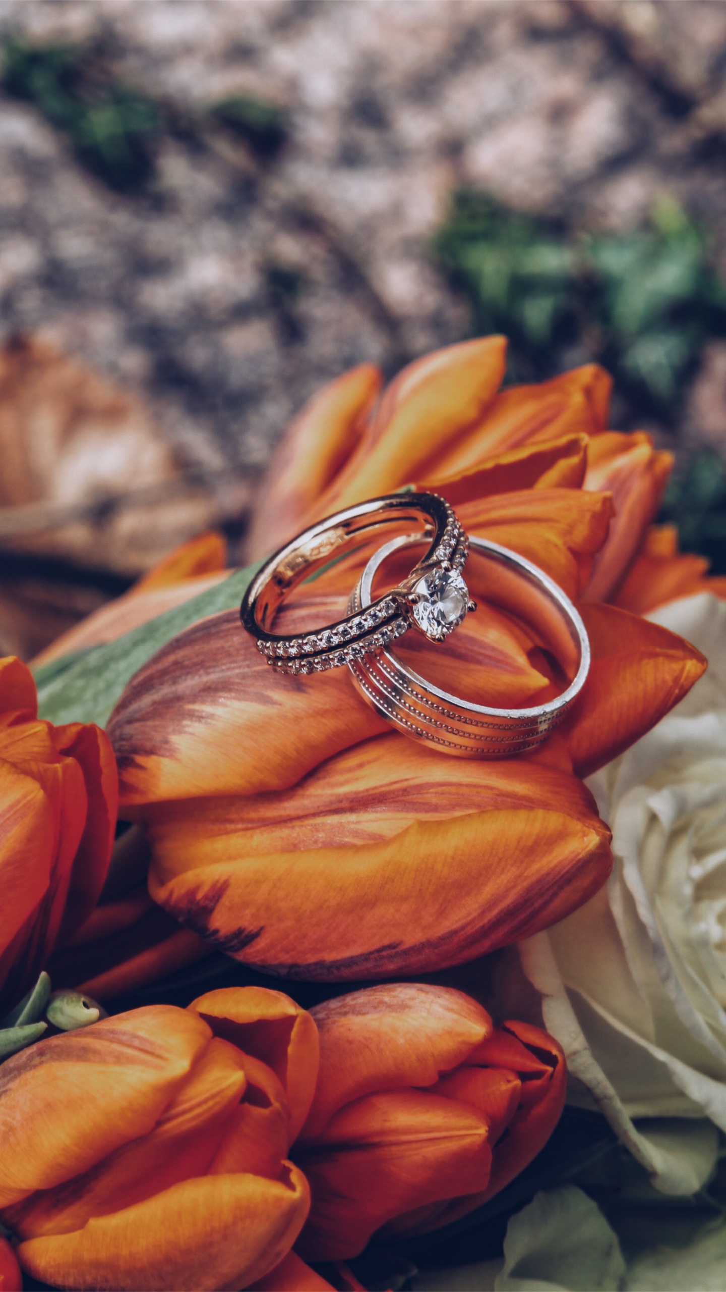 订婚戒指, 结婚戒指, 橙色, 黄色的, 的婚礼仪式供应 壁纸 1440x2560 允许
