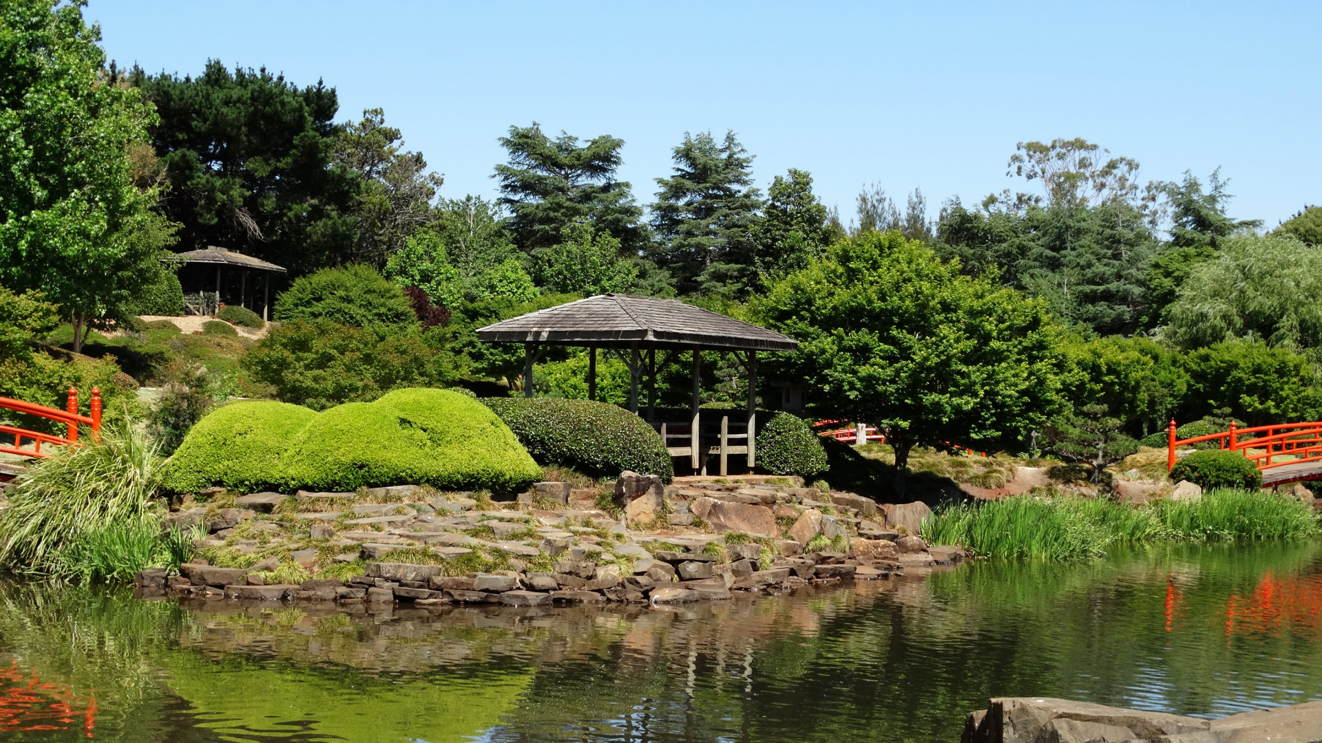 性质, 植物园, 花园, 灌木, 自然保护区 壁纸 1920x1080 允许