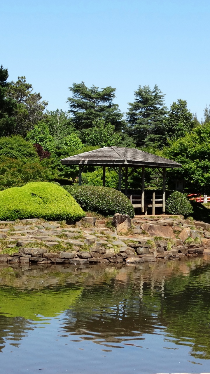 性质, 植物园, 花园, 灌木, 自然保护区 壁纸 720x1280 允许