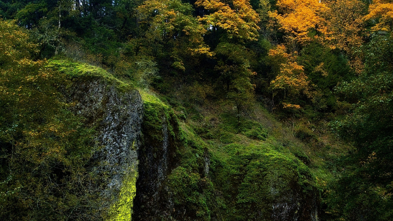 Green Moss on Rock Formation. Wallpaper in 1280x720 Resolution