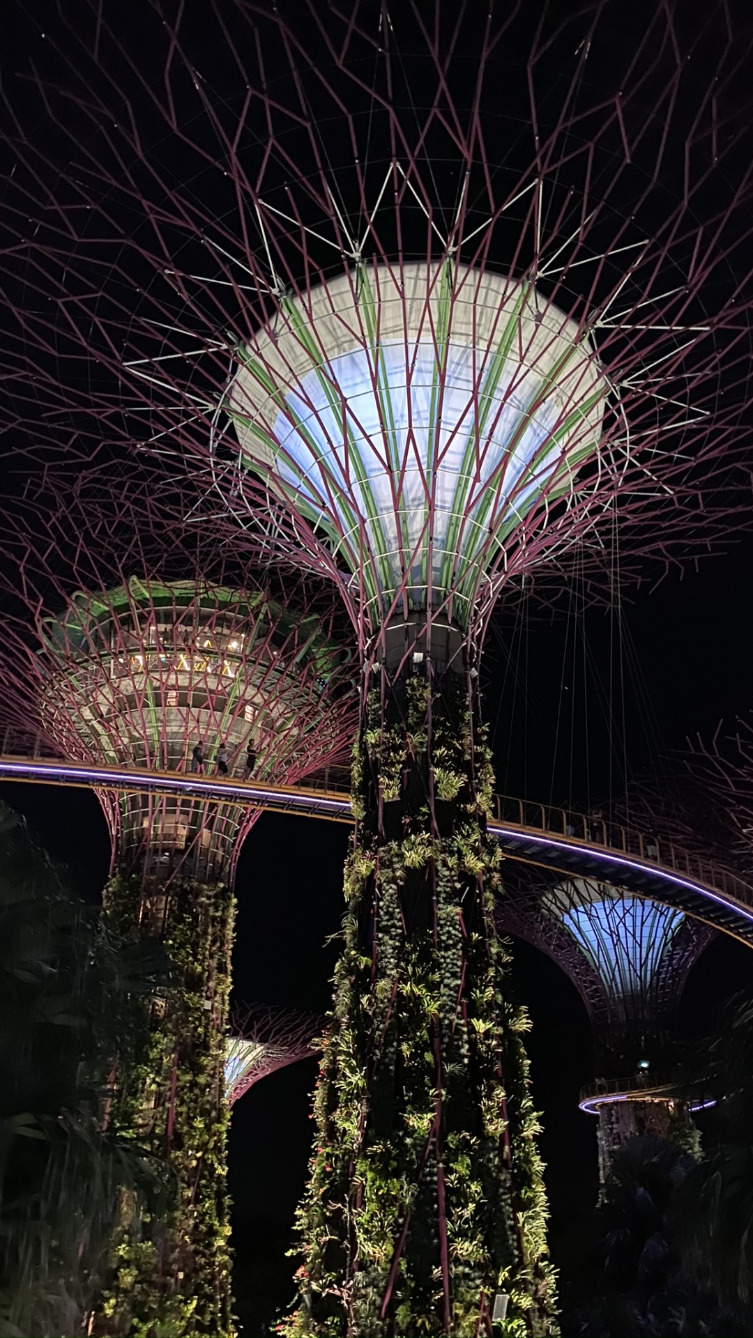 旅游景点, 绿色的, 建筑, 里程碑, 紫色的 壁纸 1080x1920 允许