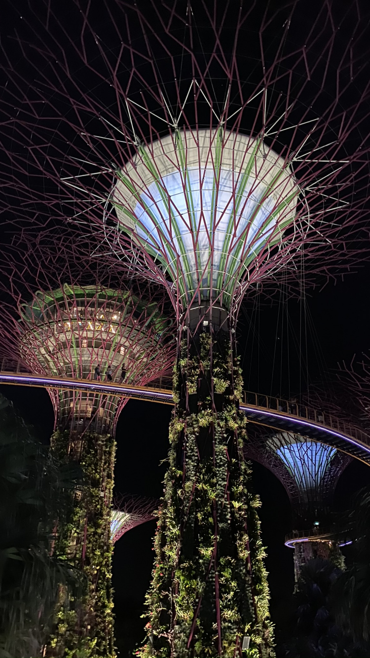 Singapur, Parque de la Ciudad Marina, Atracción Turística, Verde, Arquitectura. Wallpaper in 750x1334 Resolution