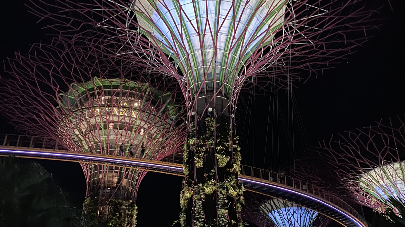 Singapur, Yachthafen Stadtpark, Sehenswürdigkeit, Nacht, Gr. Wallpaper in 1366x768 Resolution