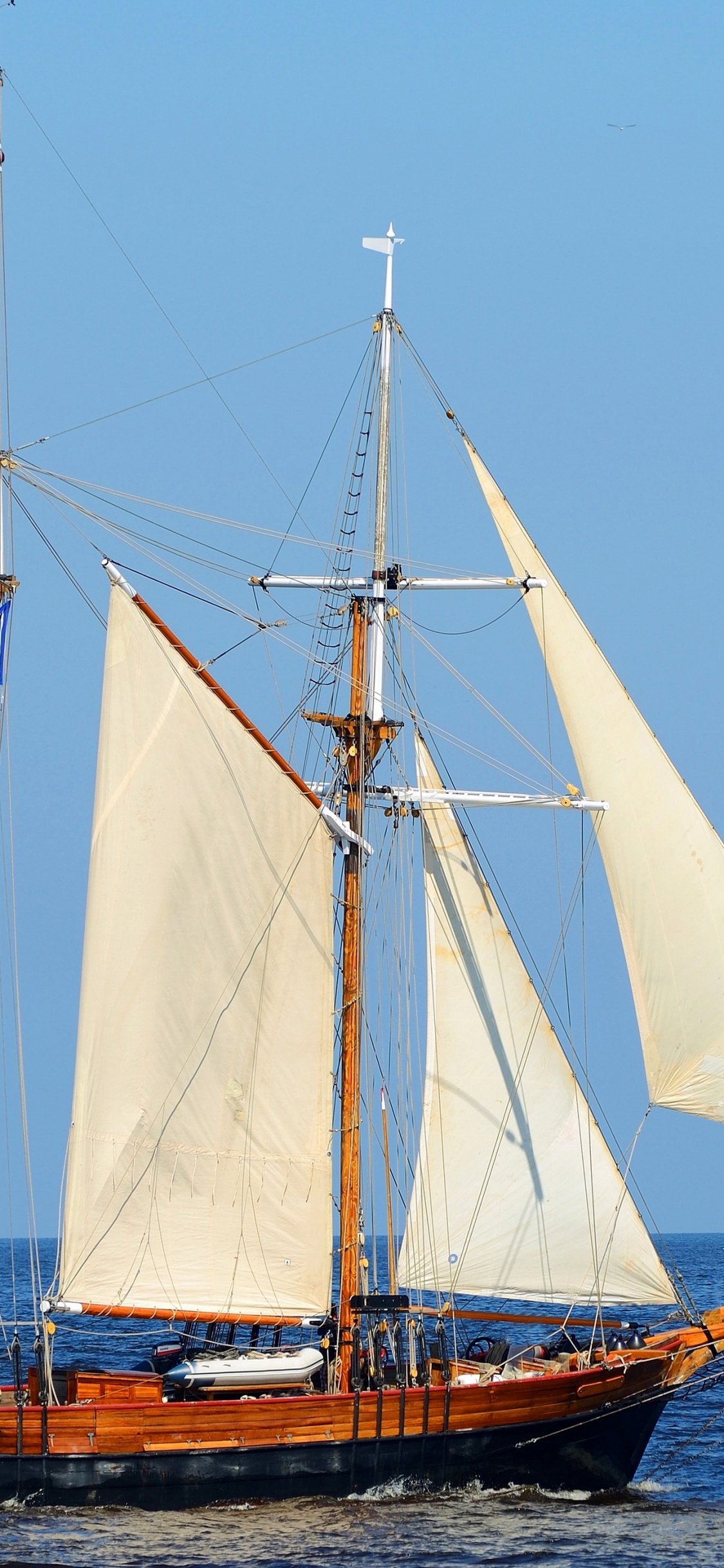 Velero Marrón y Blanco Sobre el Agua Bajo un Cielo Azul Durante el Día. Wallpaper in 1125x2436 Resolution