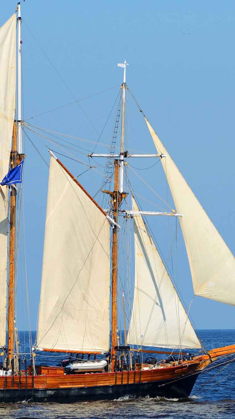 Brown and White Sail Boat on Water Under Blue Sky During Daytime. Wallpaper in 750x1334 Resolution