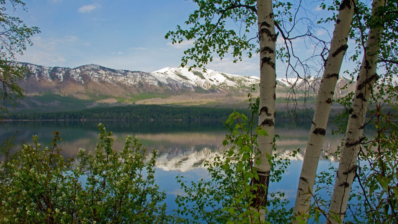 Green Trees Near Lake Under Blue Sky During Daytime. Wallpaper in 1366x768 Resolution