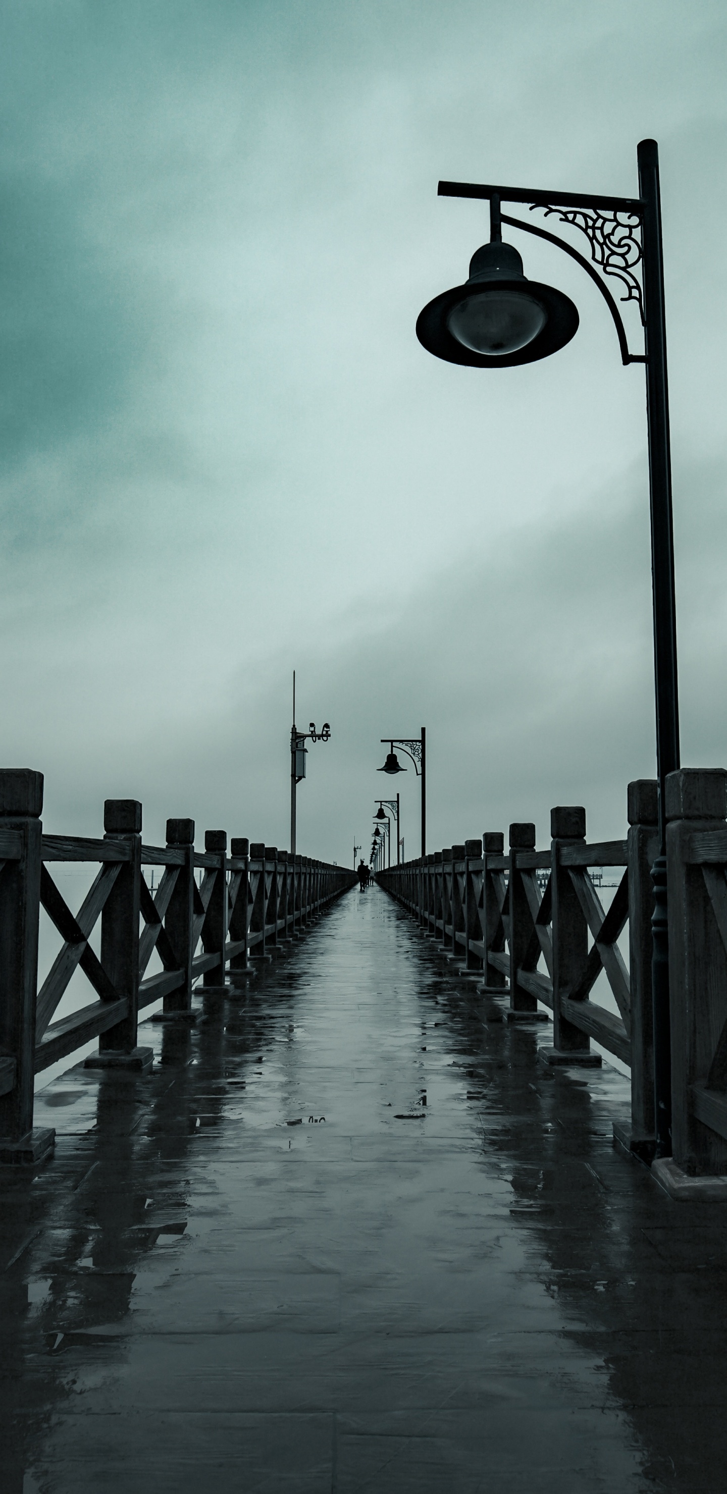 Agua, la Luz de Calle, Luminaria, Arquitectura, Puente. Wallpaper in 1440x2960 Resolution