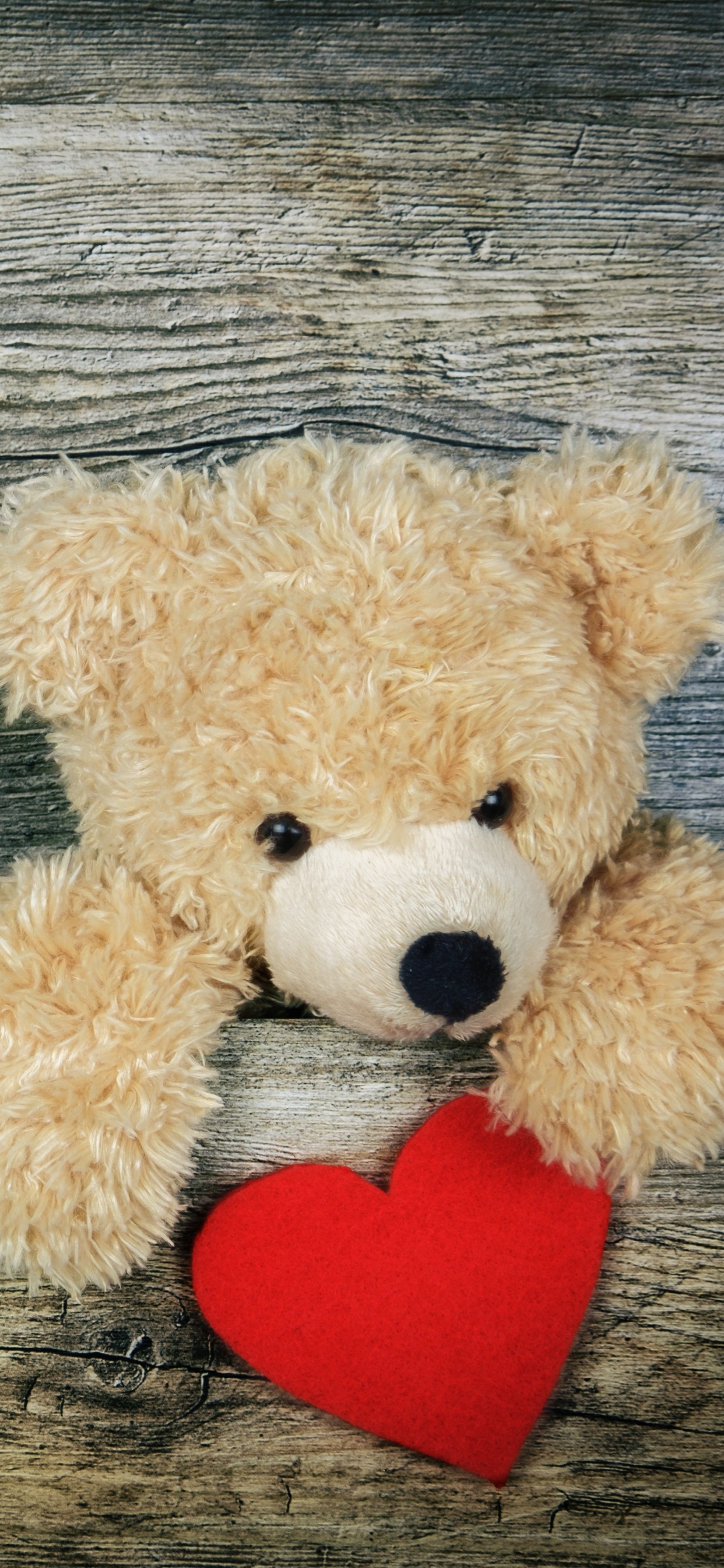 Nounours, Jouet en Peluche, Cœur, Amour, Peluche. Wallpaper in 1242x2688 Resolution