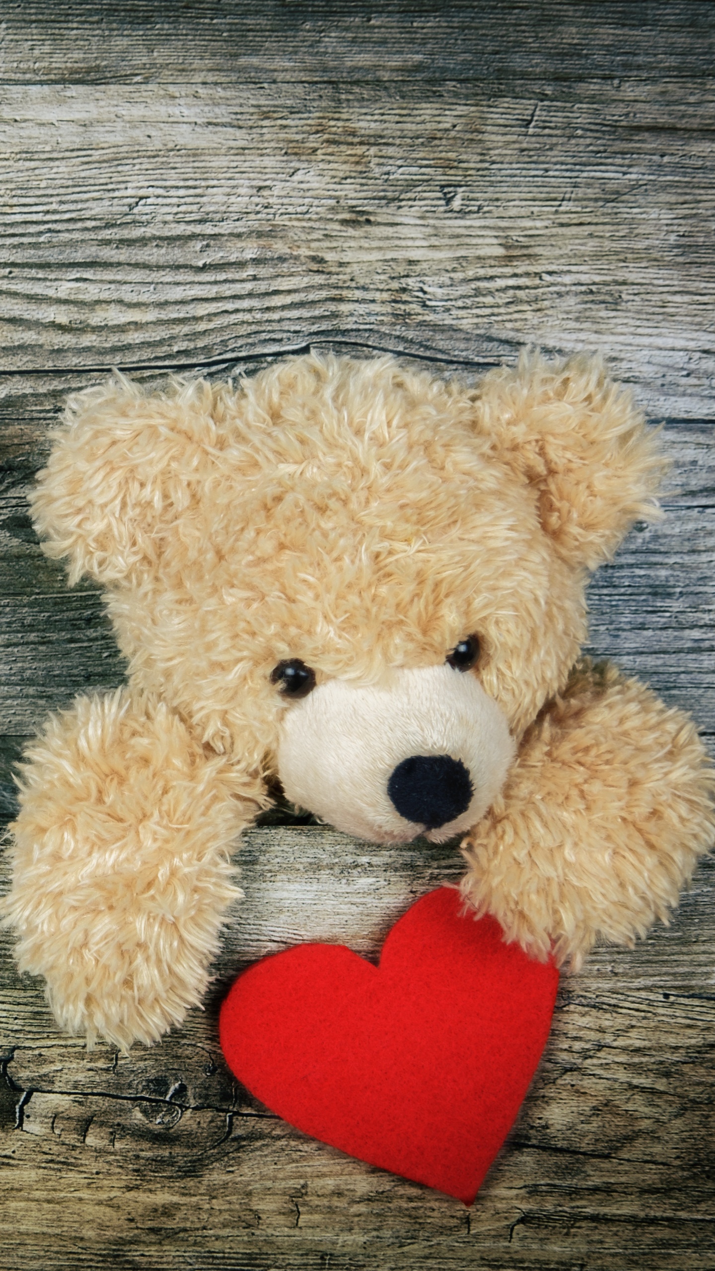 Teddy Bear, Stuffed Toy, Heart, Toy, Love. Wallpaper in 1440x2560 Resolution