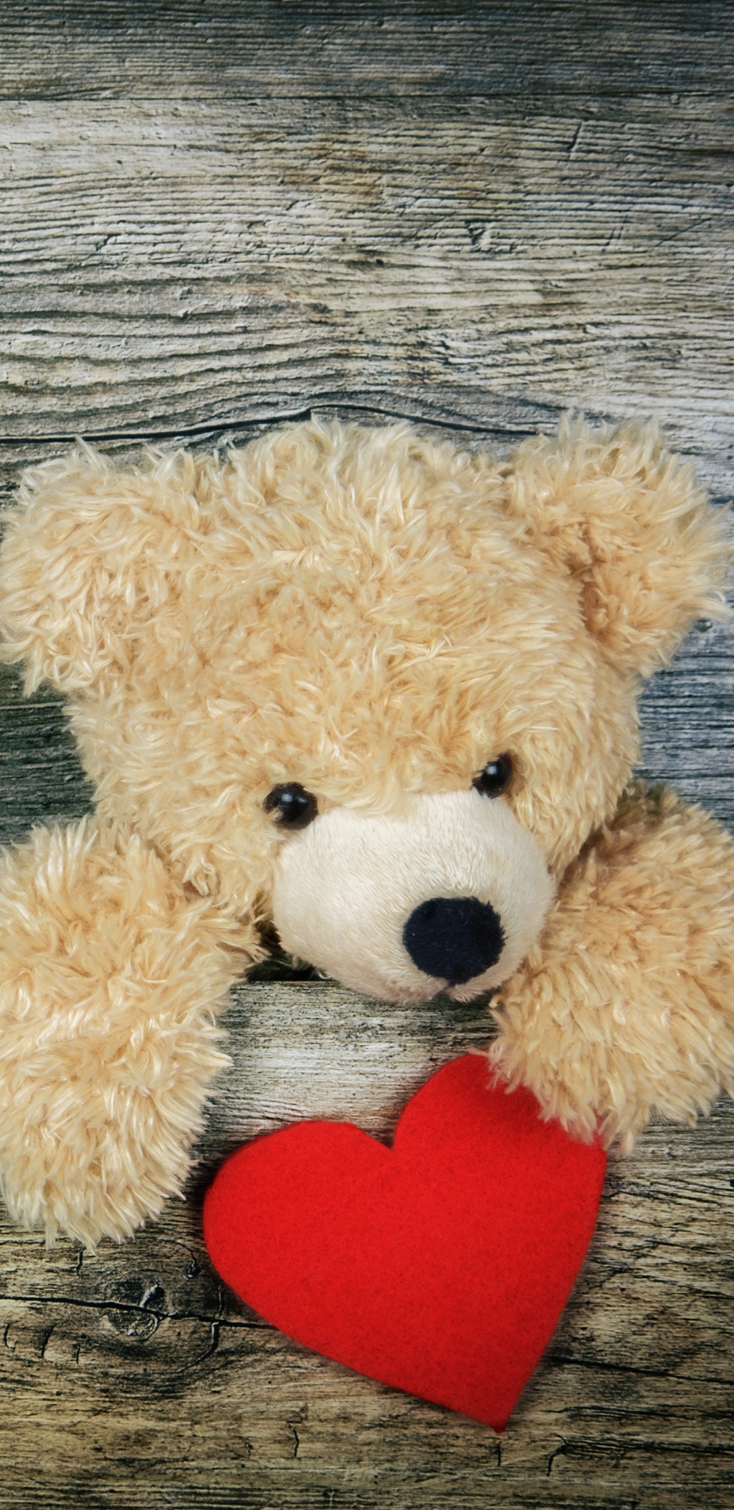 Teddy Bear, Stuffed Toy, Heart, Toy, Love. Wallpaper in 1440x2960 Resolution