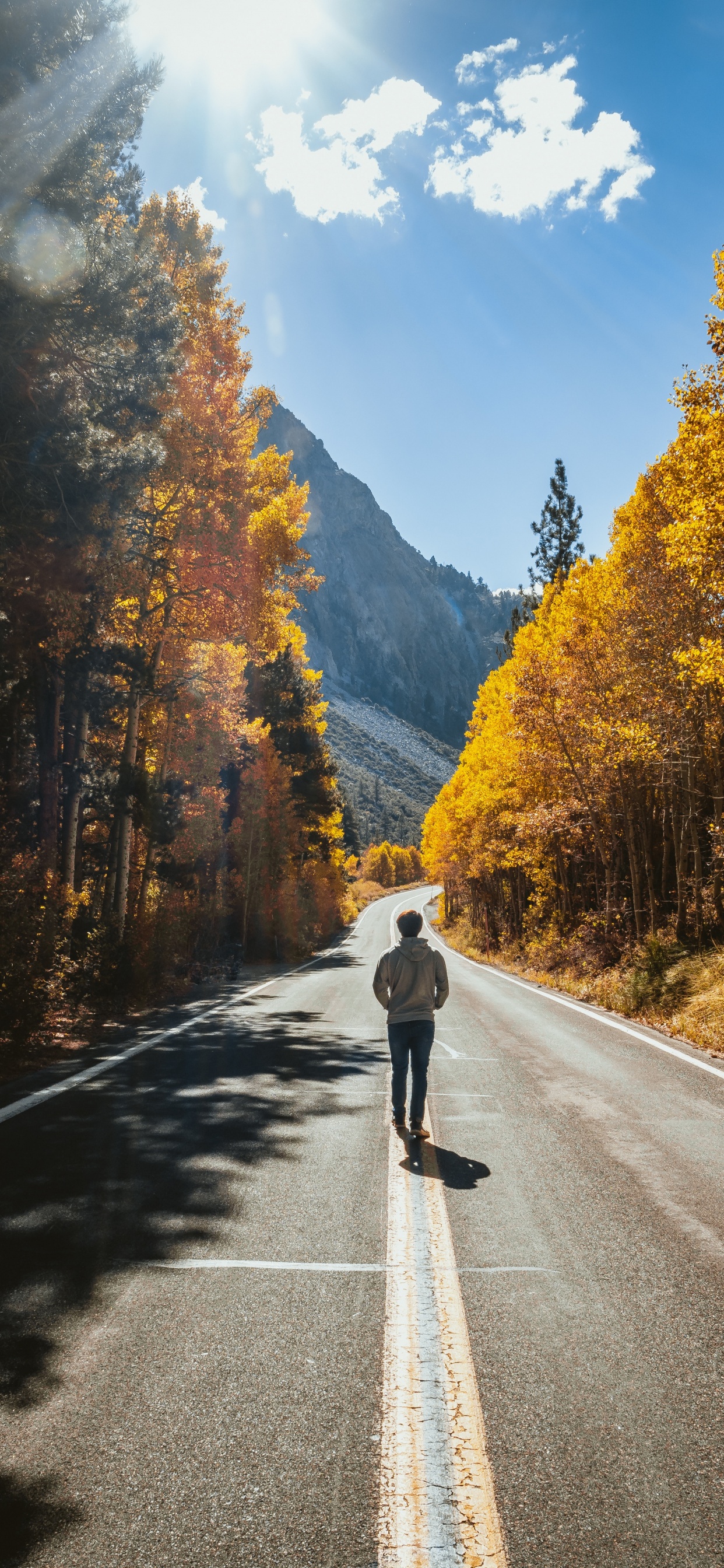 Carretera, Naturaleza, Asfalto, Paisaje Natural, Desierto. Wallpaper in 1242x2688 Resolution
