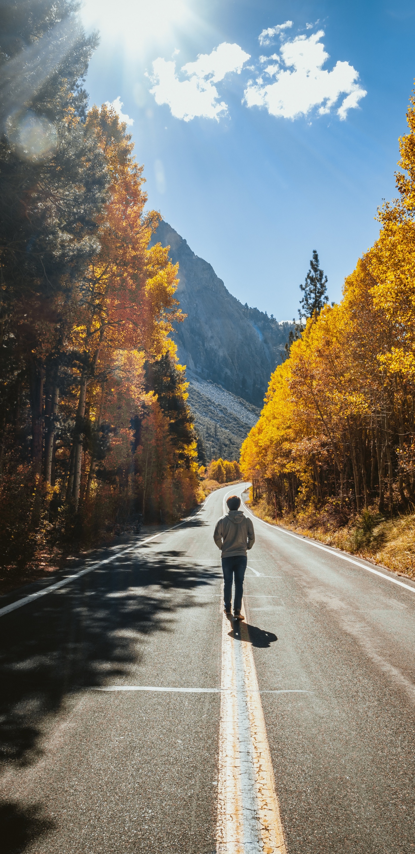 Carretera, Naturaleza, Asfalto, Paisaje Natural, Desierto. Wallpaper in 1440x2960 Resolution