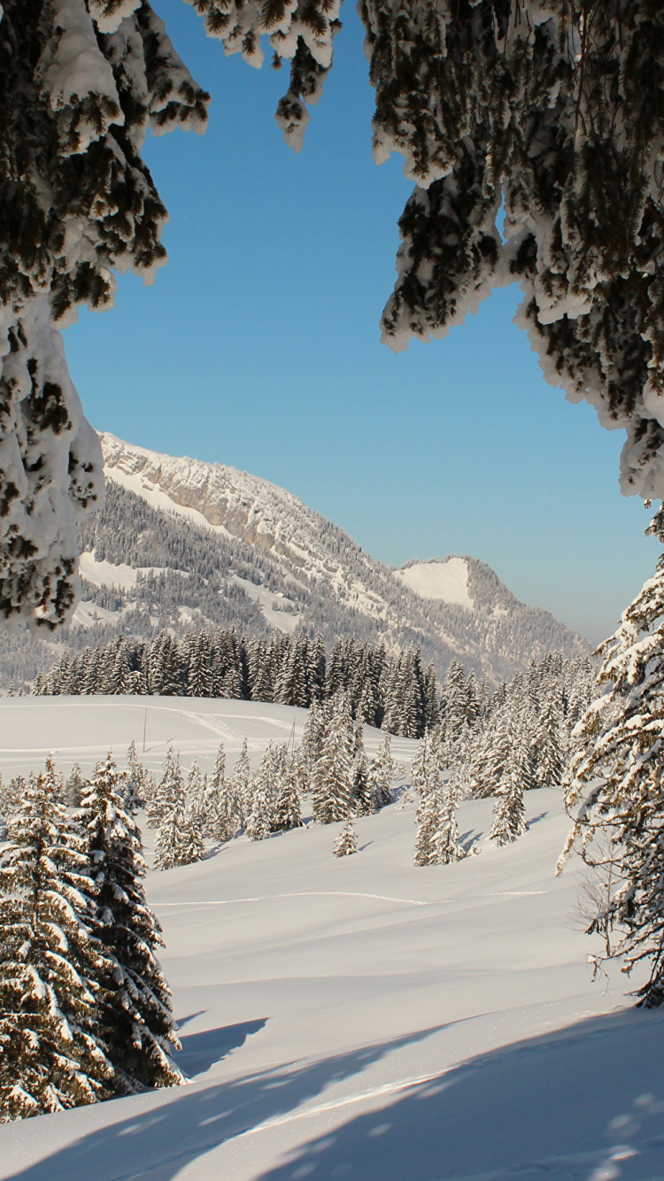 Snow Covered Trees and Mountains During Daytime. Wallpaper in 750x1334 Resolution