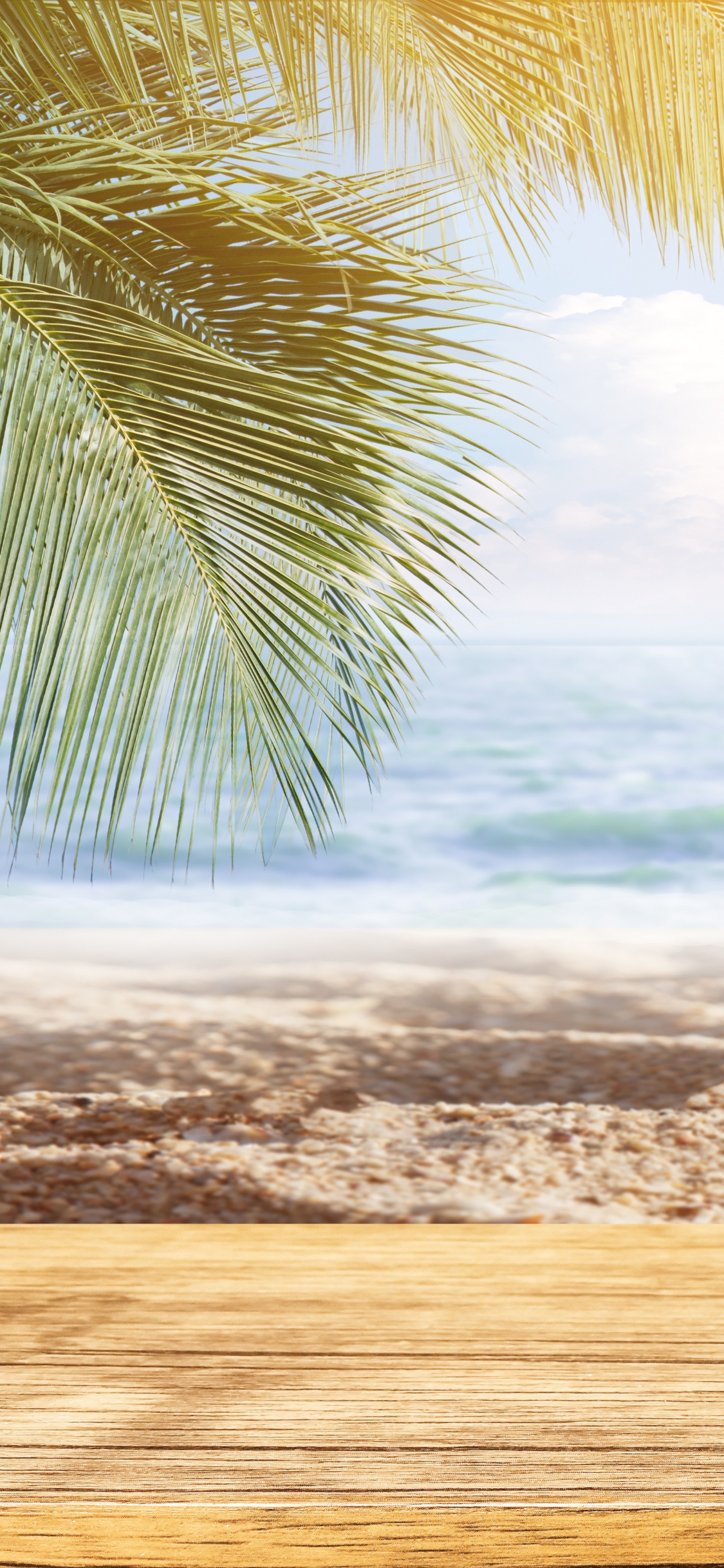 大海, 热带地区, 海洋, 风波, 加勒比 壁纸 1125x2436 允许