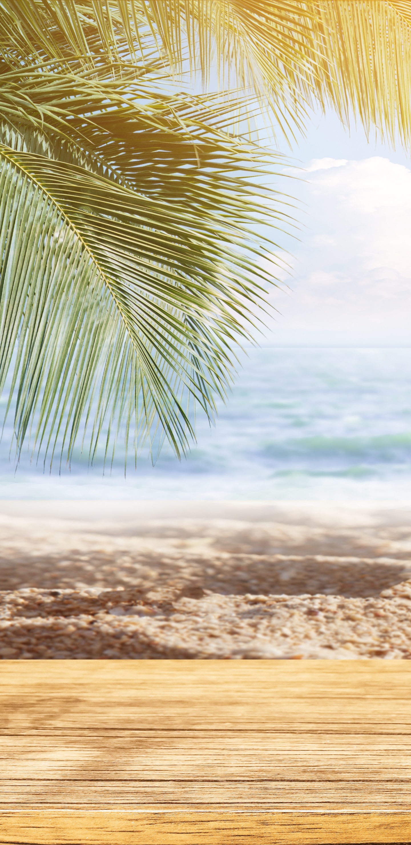 Cocotier Près Des Vagues de la Mer Pendant la Journée. Wallpaper in 1440x2960 Resolution