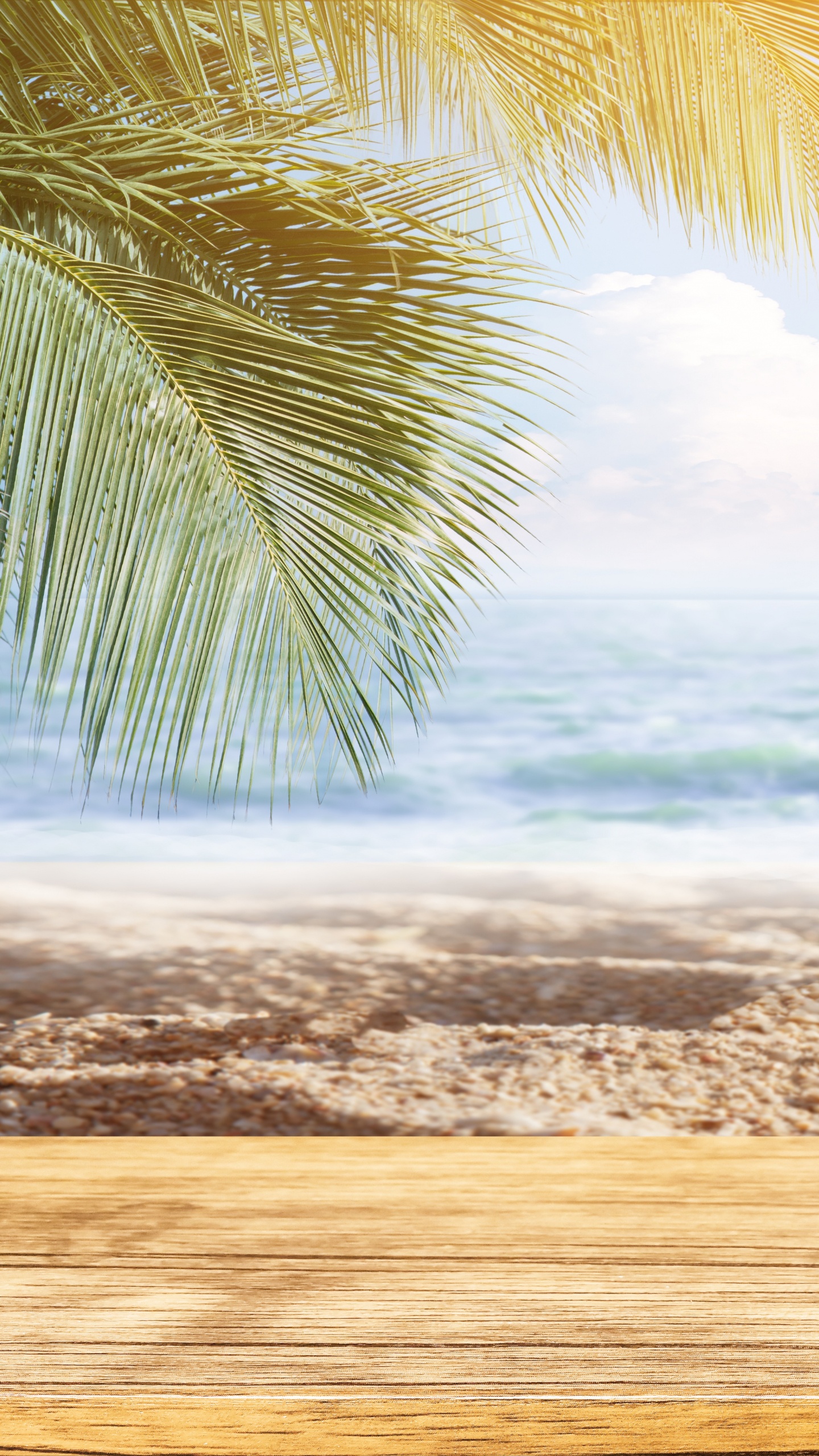 Coconut Tree Near Sea Waves During Daytime. Wallpaper in 1440x2560 Resolution