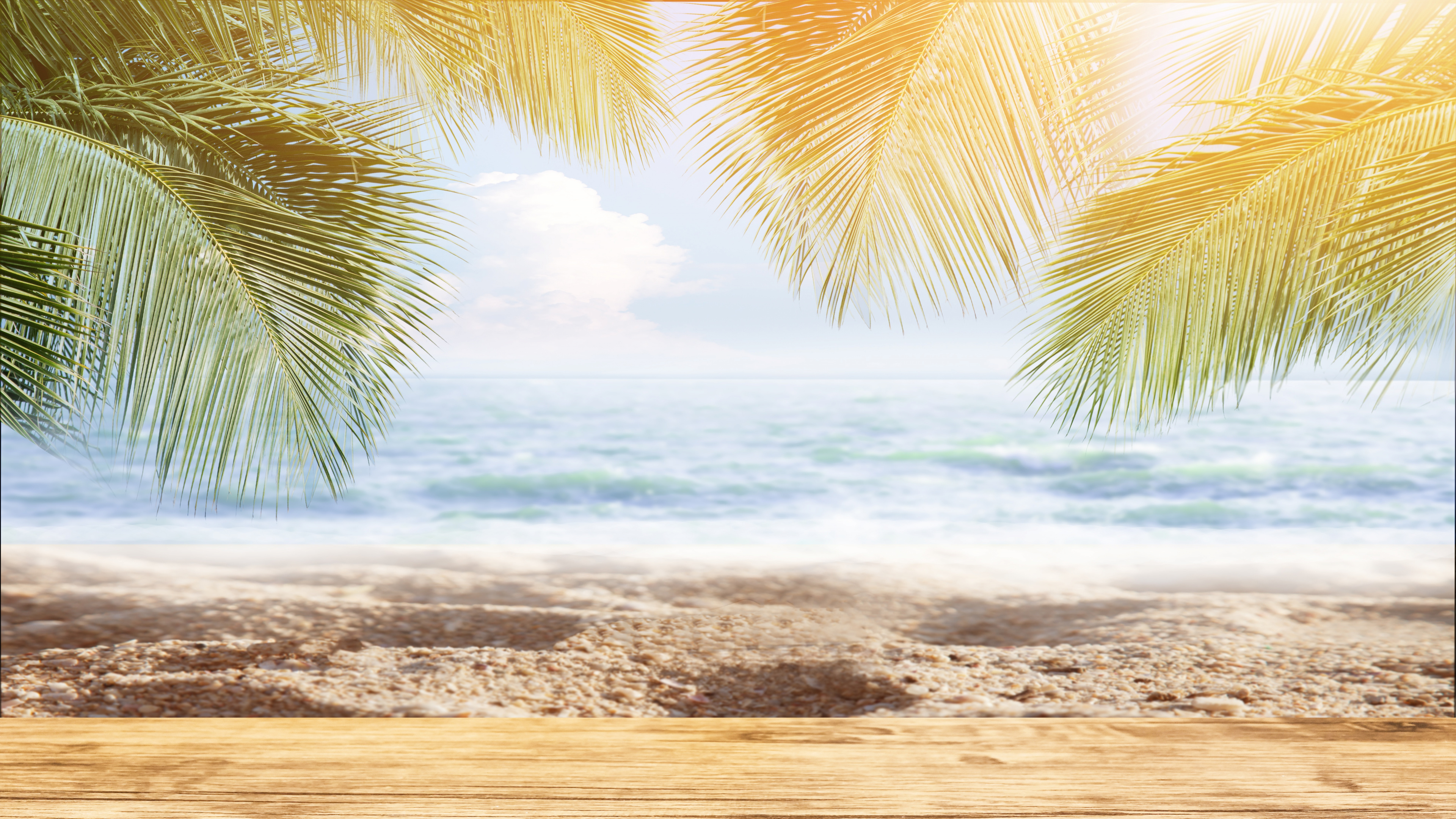 Coconut Tree Near Sea Waves During Daytime. Wallpaper in 3840x2160 Resolution