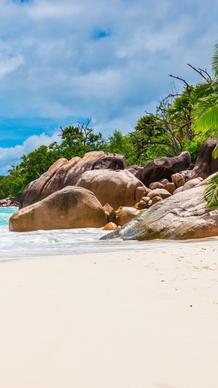 人体内的水, 热带地区, 岸边, 大海, 加勒比 壁纸 720x1280 允许