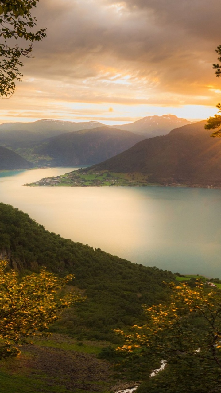 Brown Deer on Green Grass Covered Hill Near Lake During Daytime. Wallpaper in 720x1280 Resolution