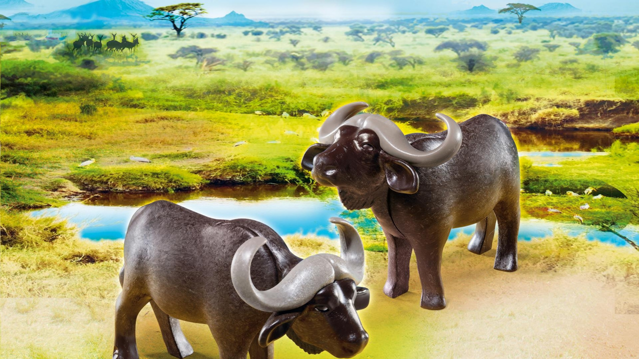 Two Black Water Buffalo on Green Grass Field During Daytime. Wallpaper in 1280x720 Resolution