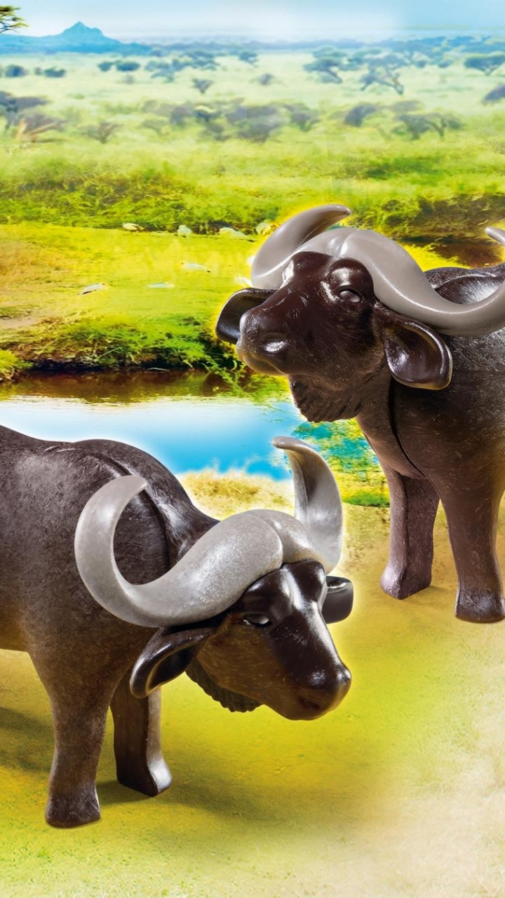 Two Black Water Buffalo on Green Grass Field During Daytime. Wallpaper in 720x1280 Resolution