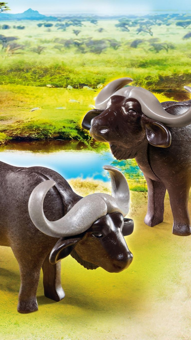 Two Black Water Buffalo on Green Grass Field During Daytime. Wallpaper in 750x1334 Resolution