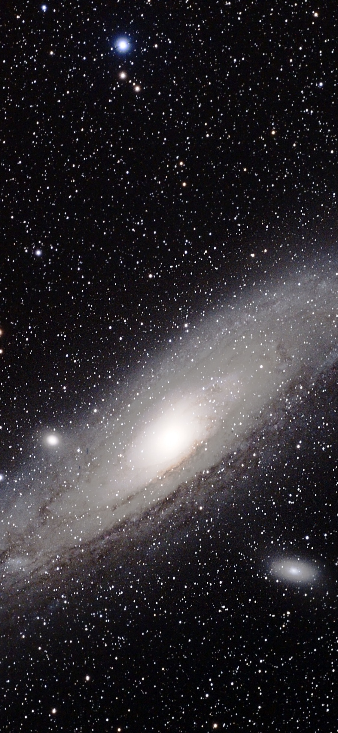 Estrellas en el Cielo Durante la Noche.. Wallpaper in 1125x2436 Resolution