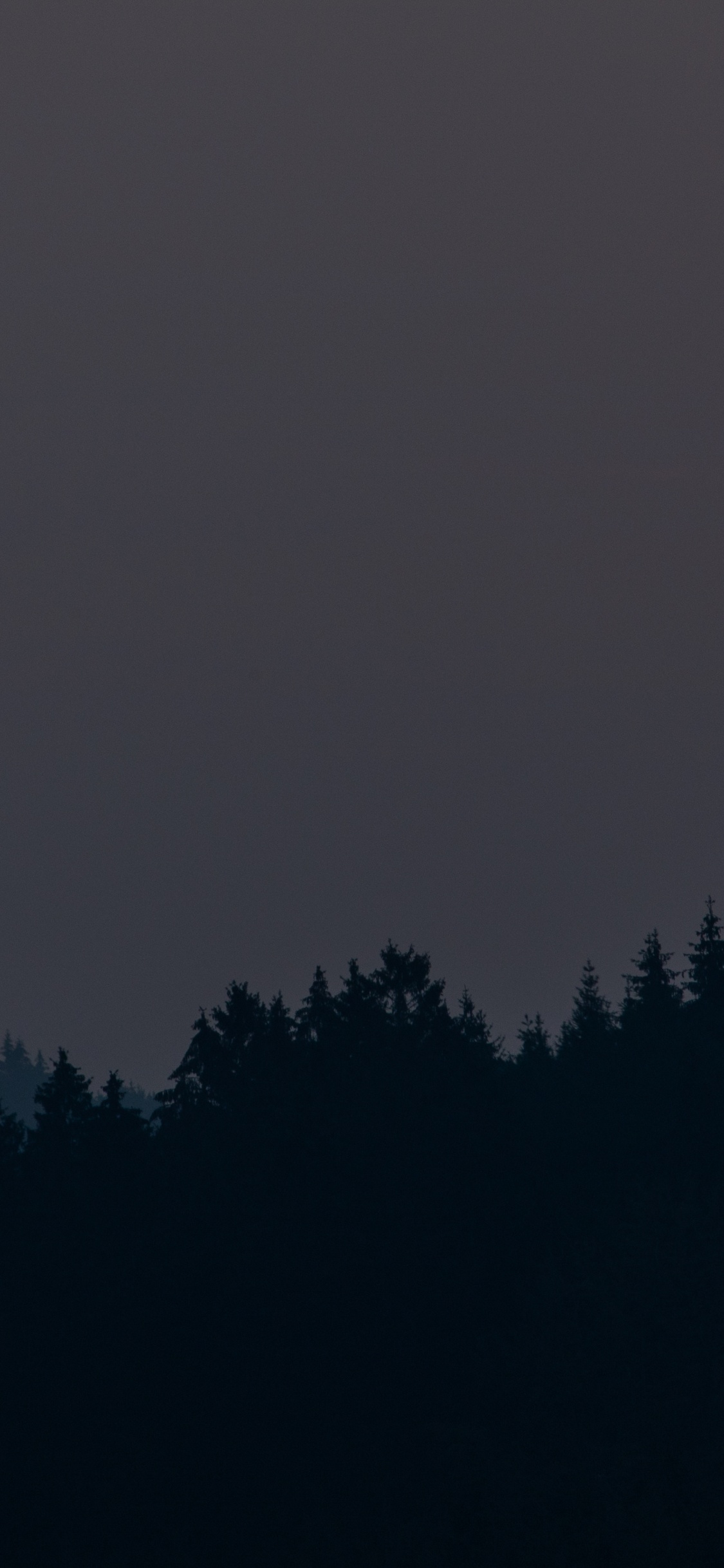 Arbres Verts Sous Ciel Gris. Wallpaper in 1125x2436 Resolution