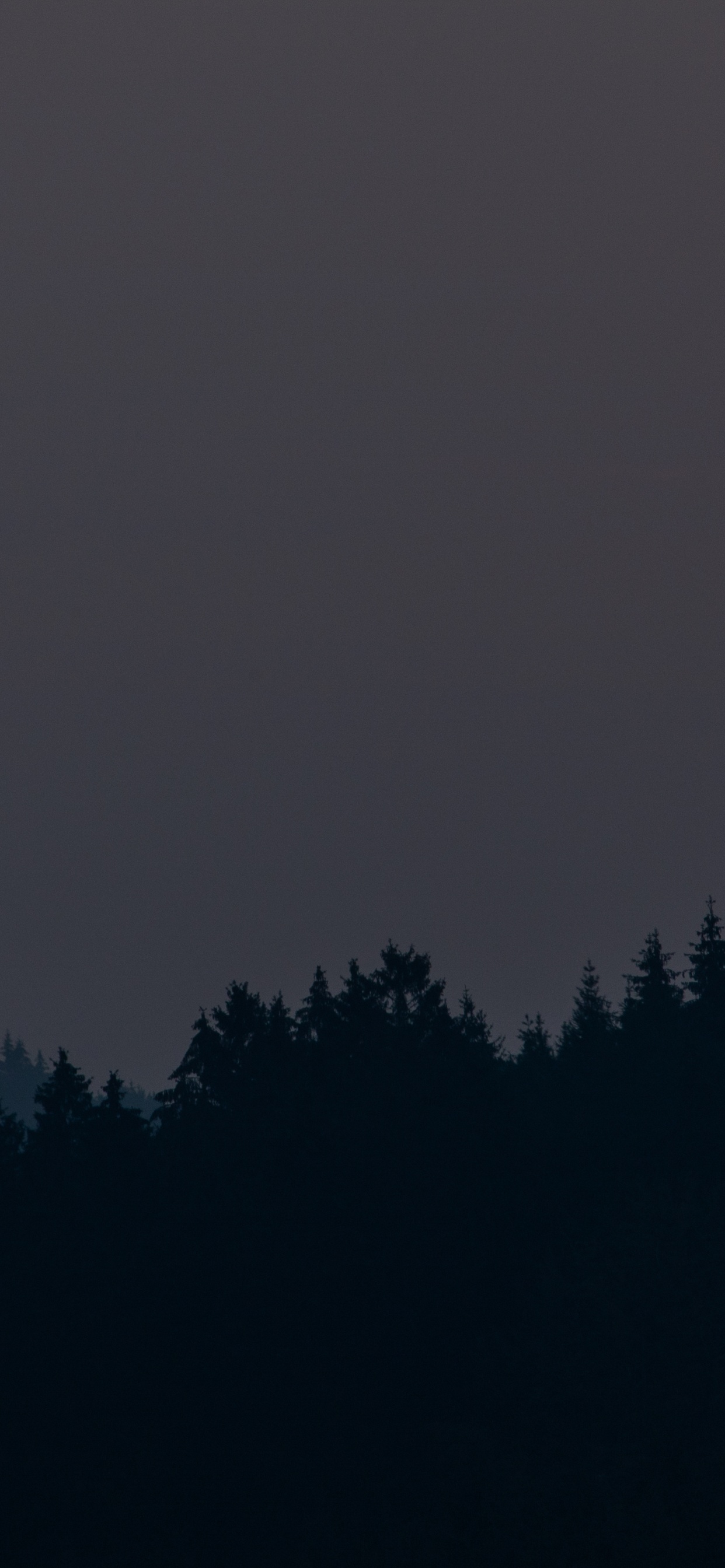 Arbres Verts Sous Ciel Gris. Wallpaper in 1242x2688 Resolution