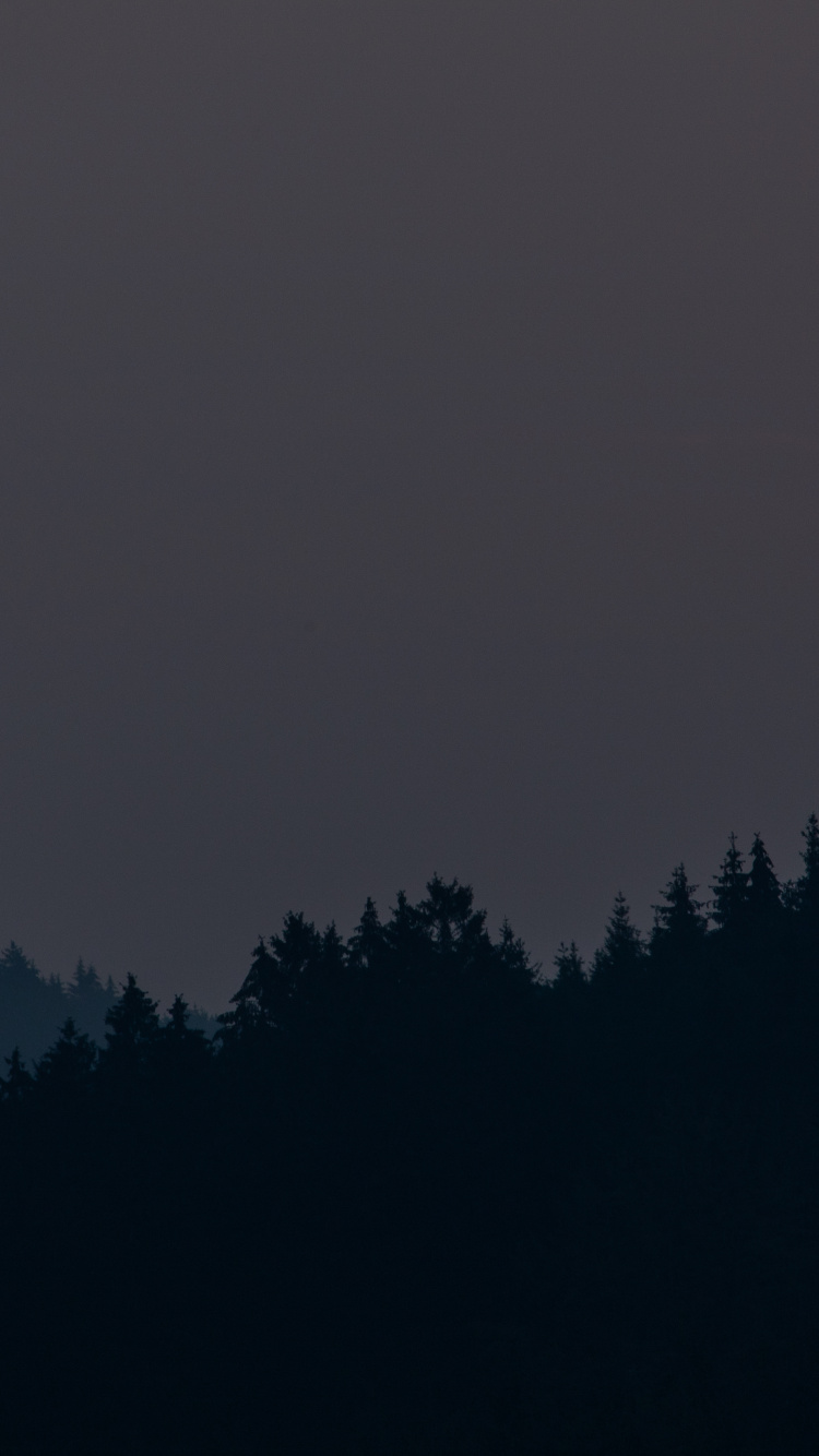 Arbres Verts Sous Ciel Gris. Wallpaper in 750x1334 Resolution