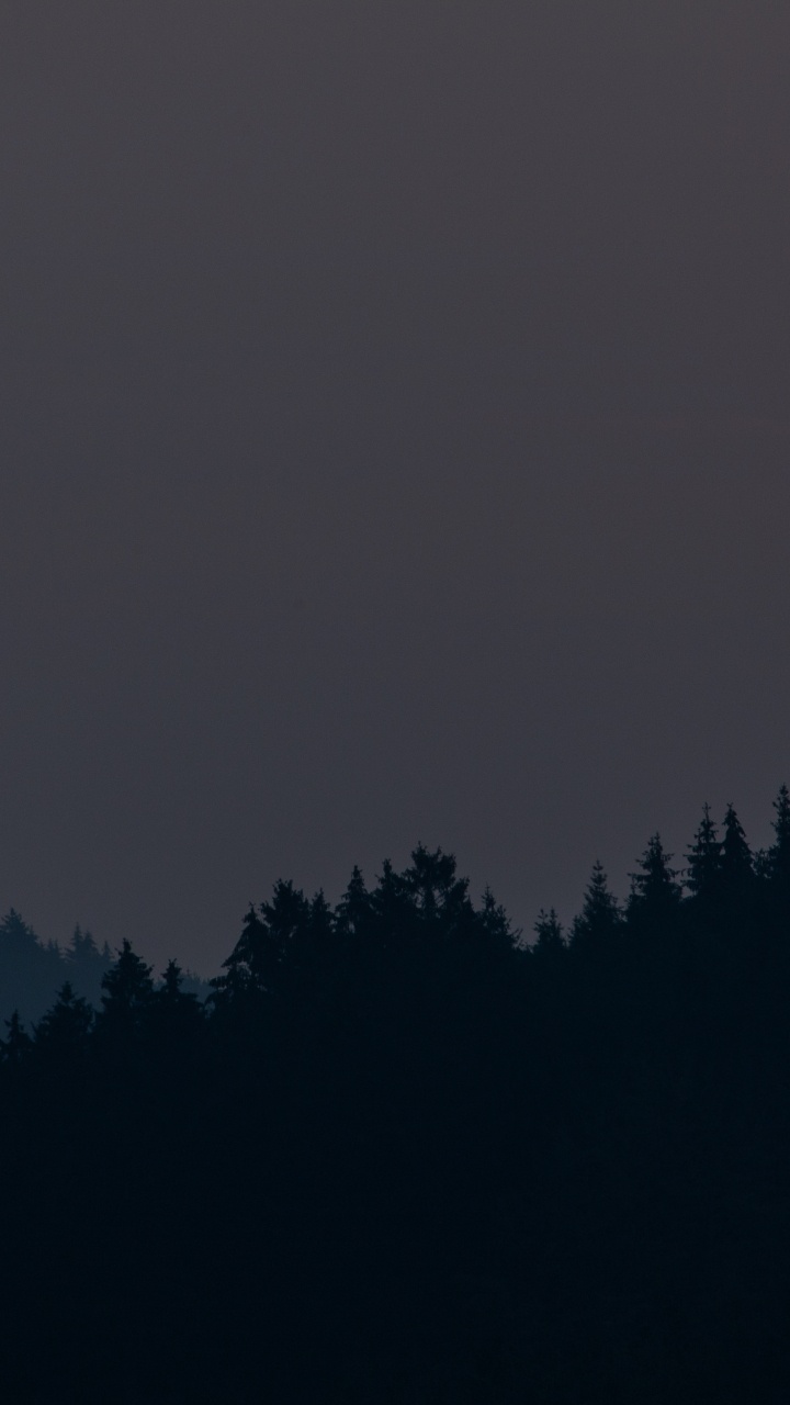 Green Trees Under Gray Sky. Wallpaper in 720x1280 Resolution