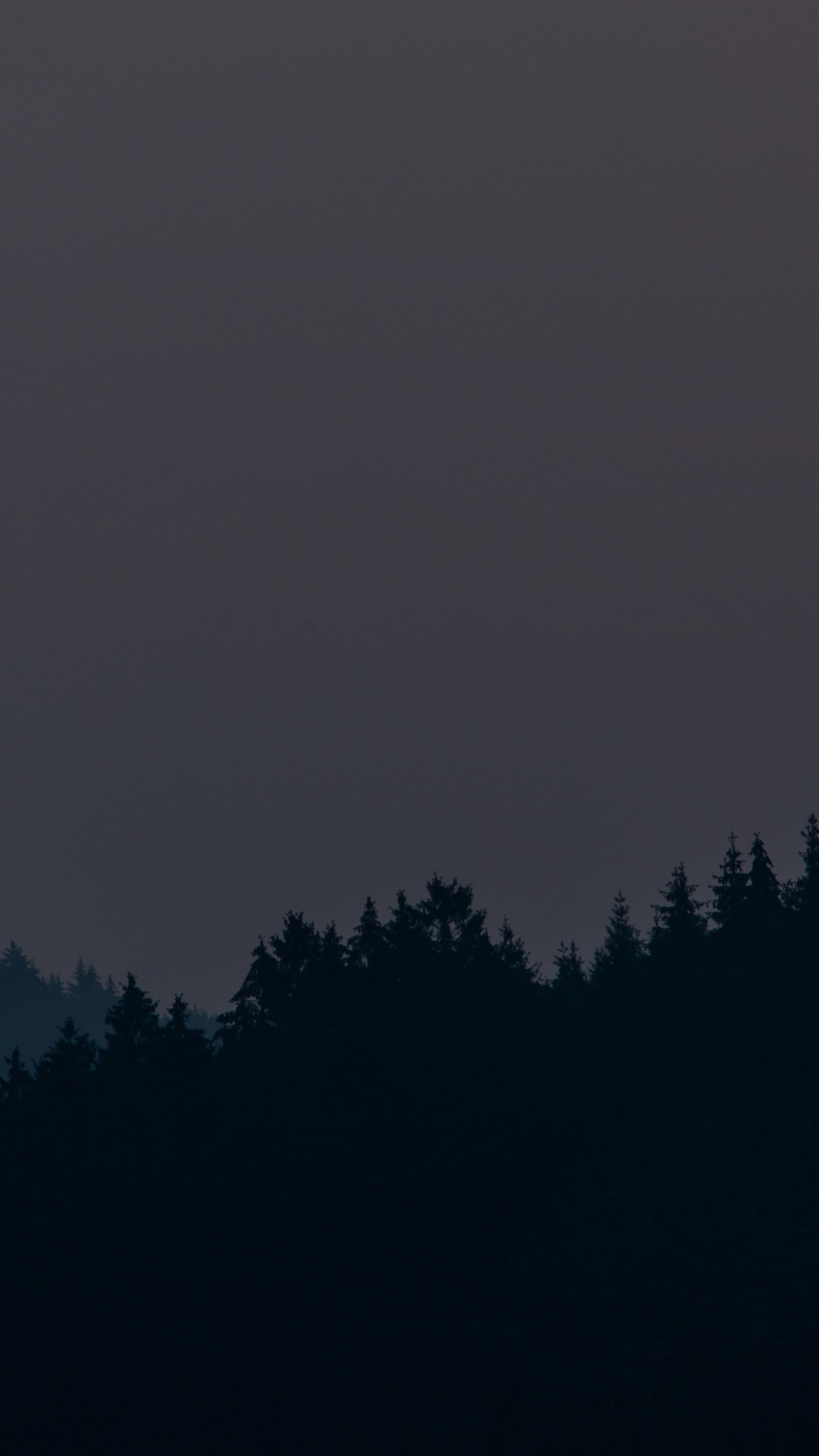 Grüne Bäume Unter Grauem Himmel. Wallpaper in 1440x2560 Resolution