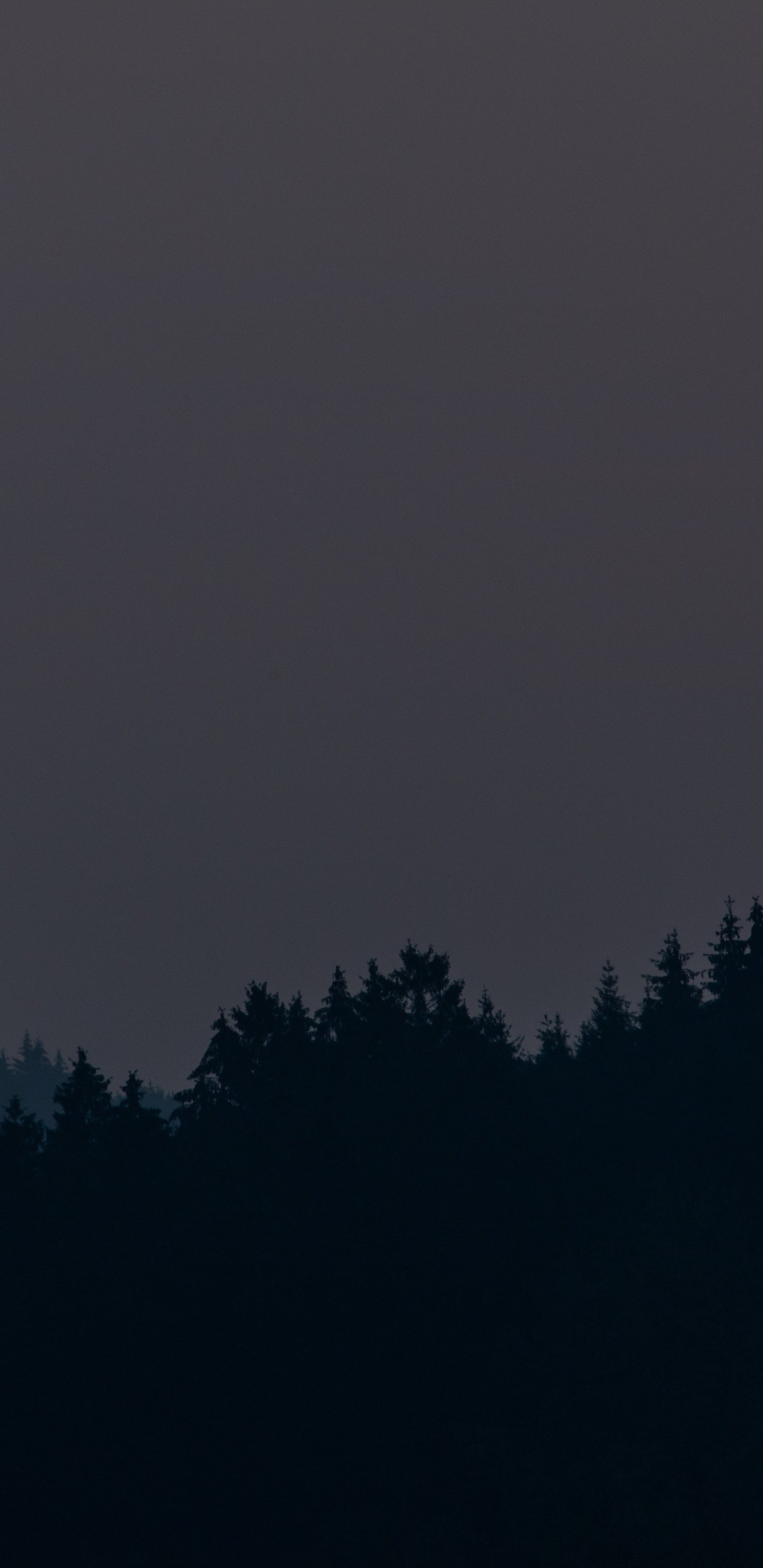 Grüne Bäume Unter Grauem Himmel. Wallpaper in 1440x2960 Resolution