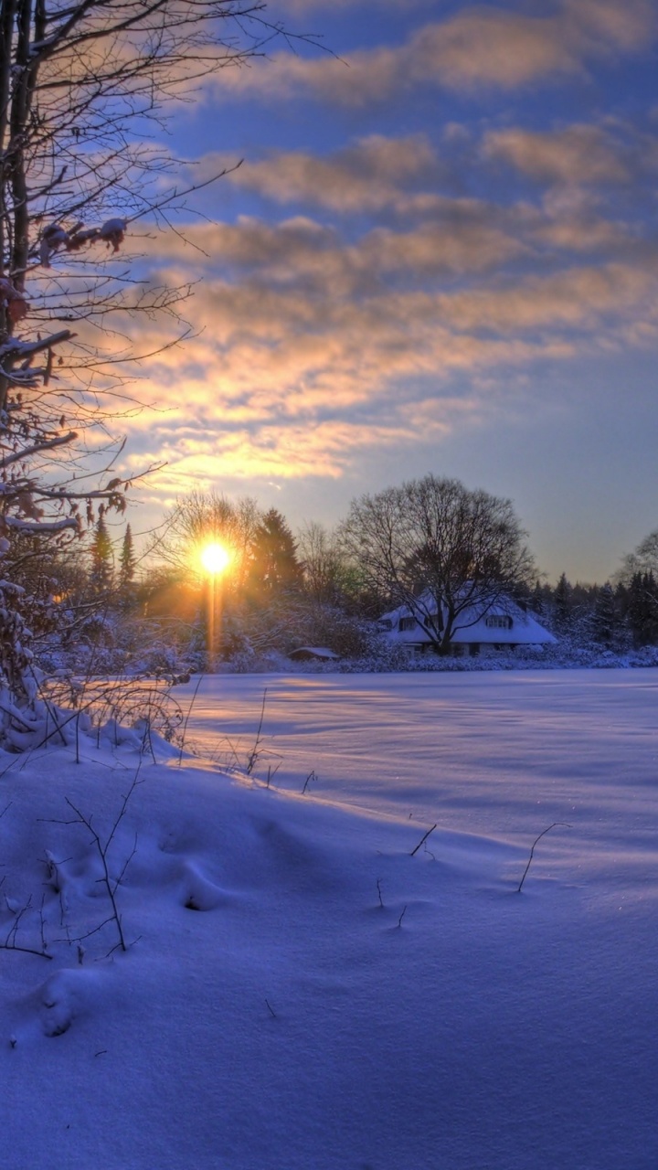 Grüne Bäume Auf Schneebedecktem Boden Bei Sonnenuntergang. Wallpaper in 720x1280 Resolution