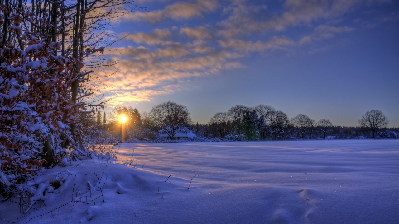 Green Trees on Snow Covered Ground During Sunset. Wallpaper in 1280x720 Resolution