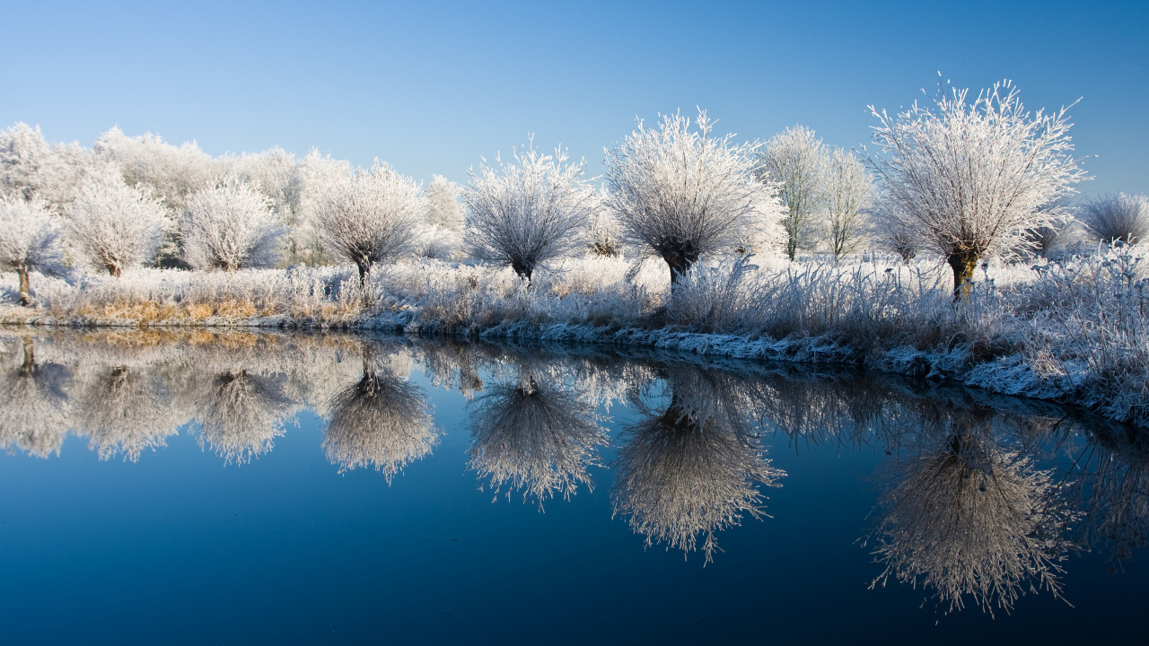 Arbres Blancs Sur le Sol Couvert de Neige à Côté du Lac Pendant la Journée. Wallpaper in 1280x720 Resolution