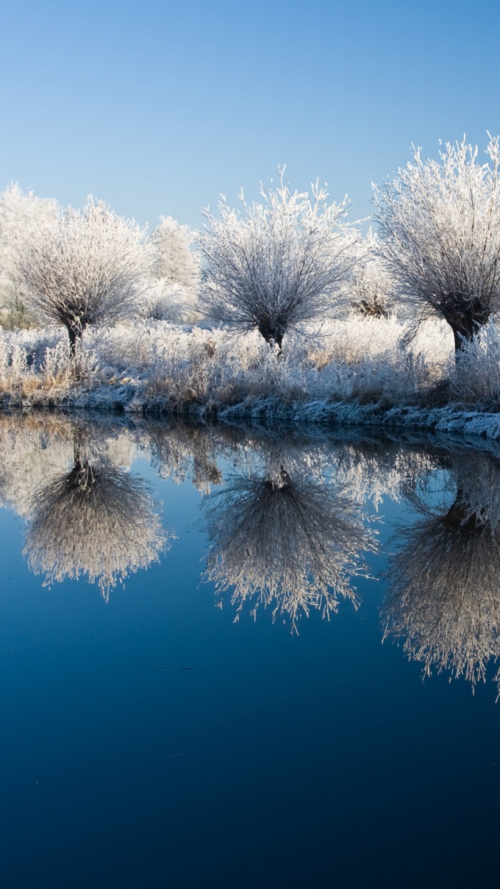 White Trees on Snow Covered Ground Beside Lake During Daytime. Wallpaper in 720x1280 Resolution