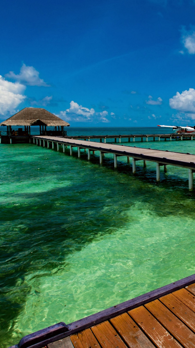 Quai en Bois Brun Sur le Plan D'eau Pendant la Journée. Wallpaper in 750x1334 Resolution