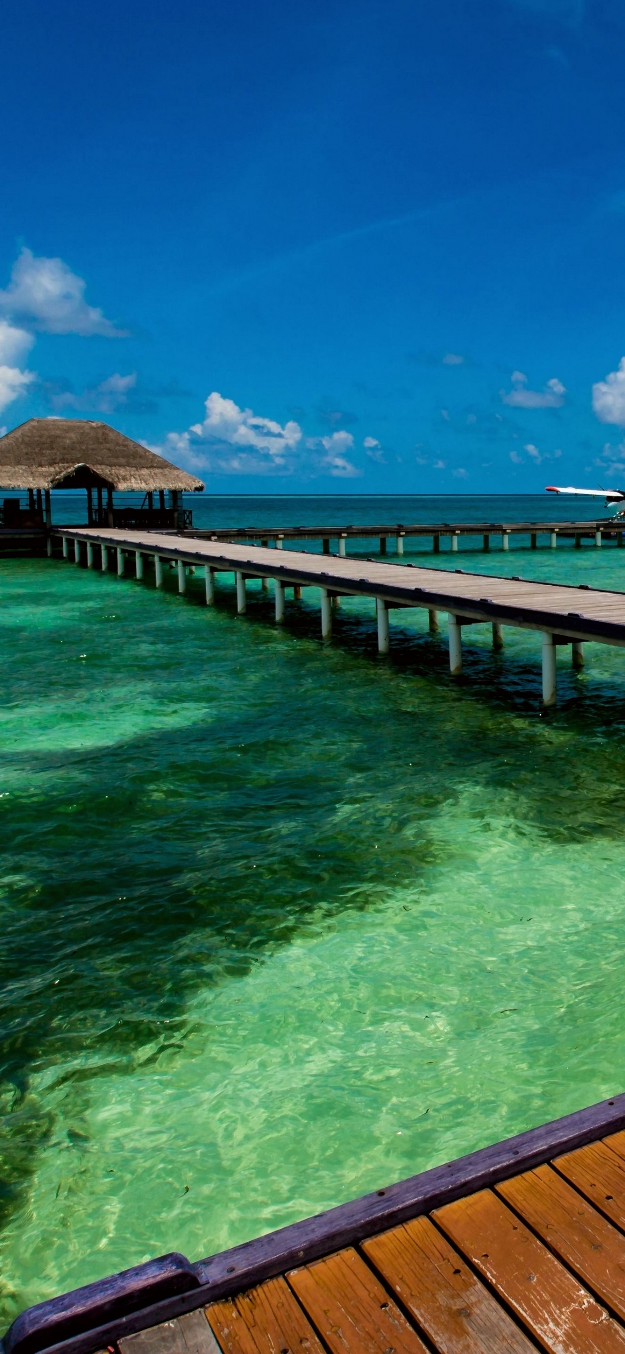 Brown Wooden Dock on Body of Water During Daytime. Wallpaper in 1242x2688 Resolution
