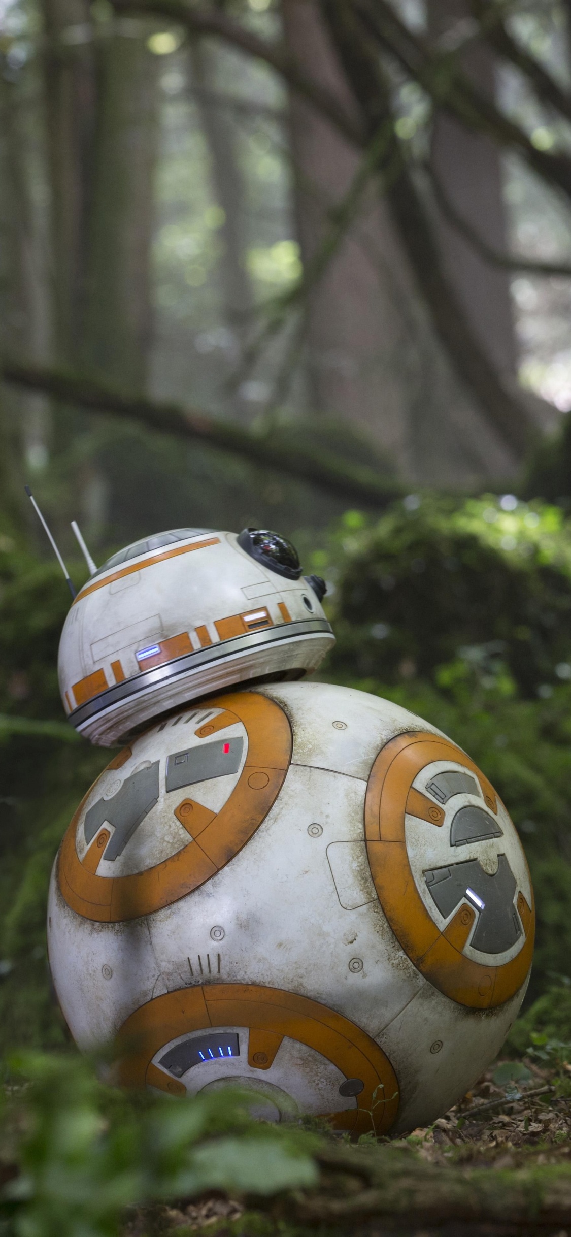 Man in Green Crew Neck T-shirt and Brown Pants Sitting on Ground. Wallpaper in 1125x2436 Resolution