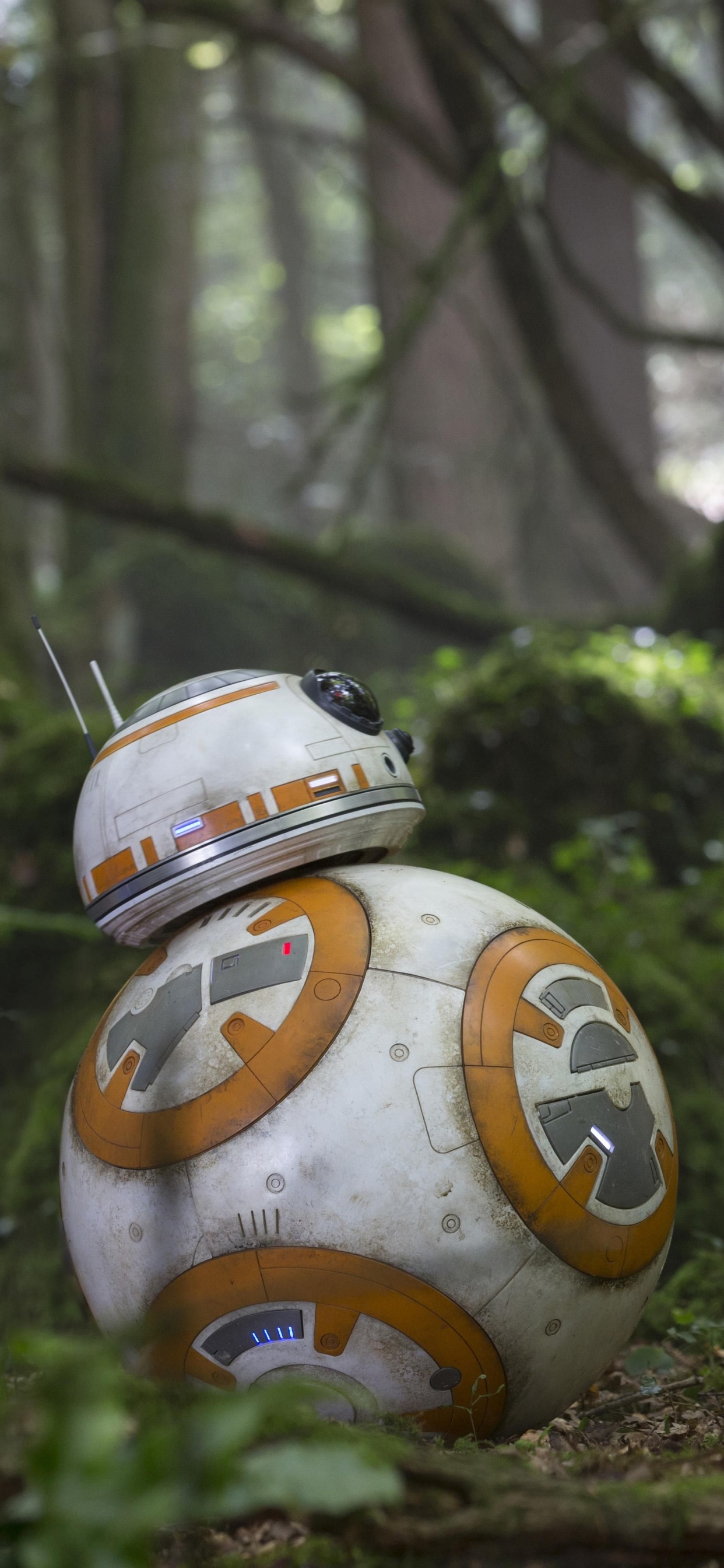 Man in Green Crew Neck T-shirt and Brown Pants Sitting on Ground. Wallpaper in 1242x2688 Resolution