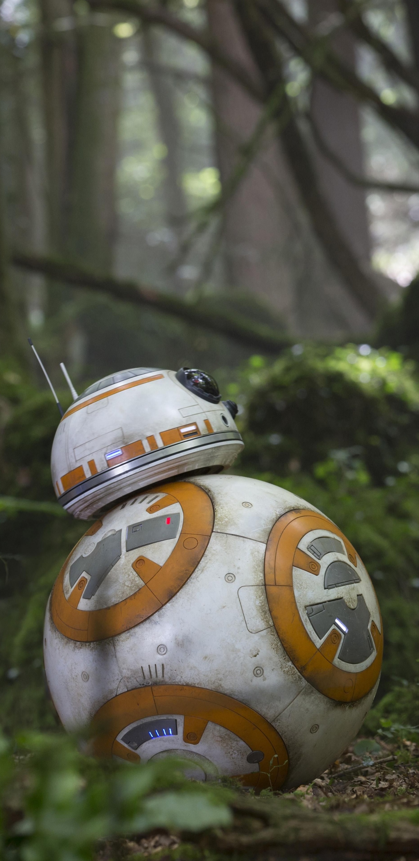 Man in Green Crew Neck T-shirt and Brown Pants Sitting on Ground. Wallpaper in 1440x2960 Resolution