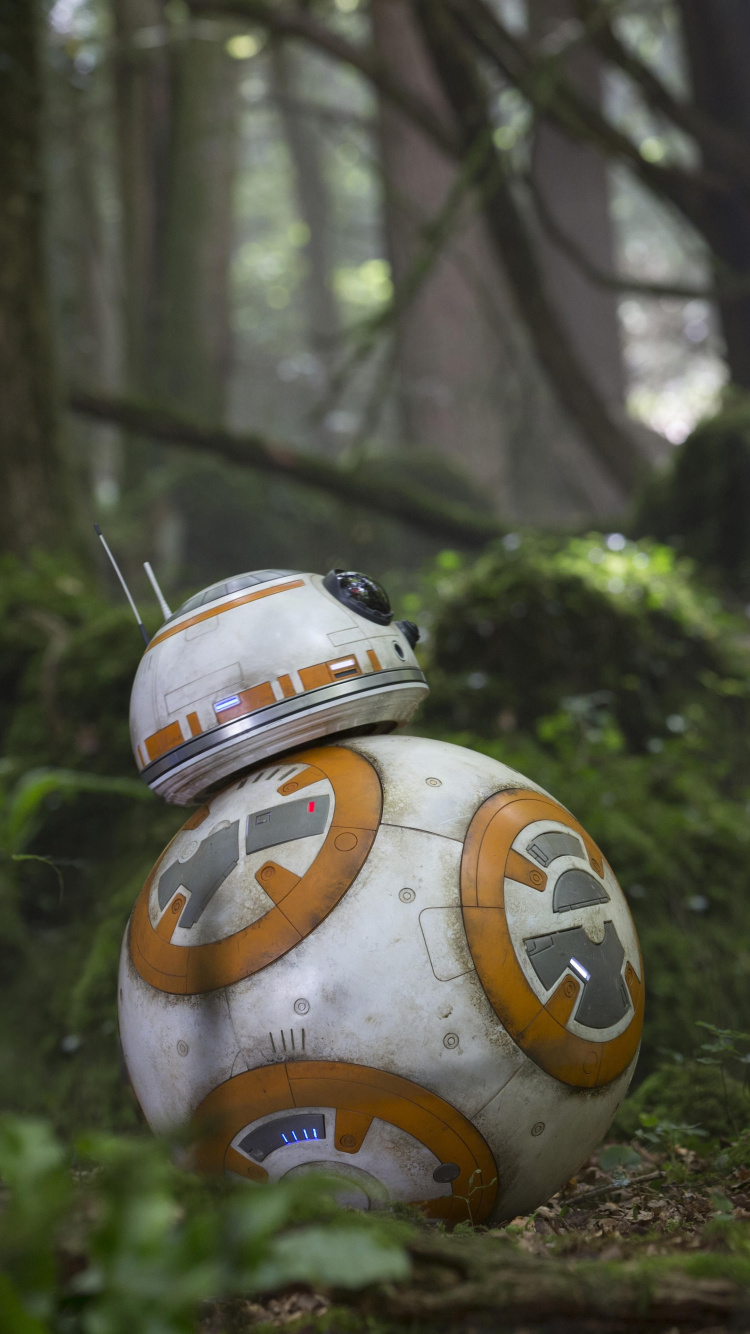 Homme en T-shirt Vert à Col Rond et Pantalon Marron Assis Sur le Sol. Wallpaper in 750x1334 Resolution