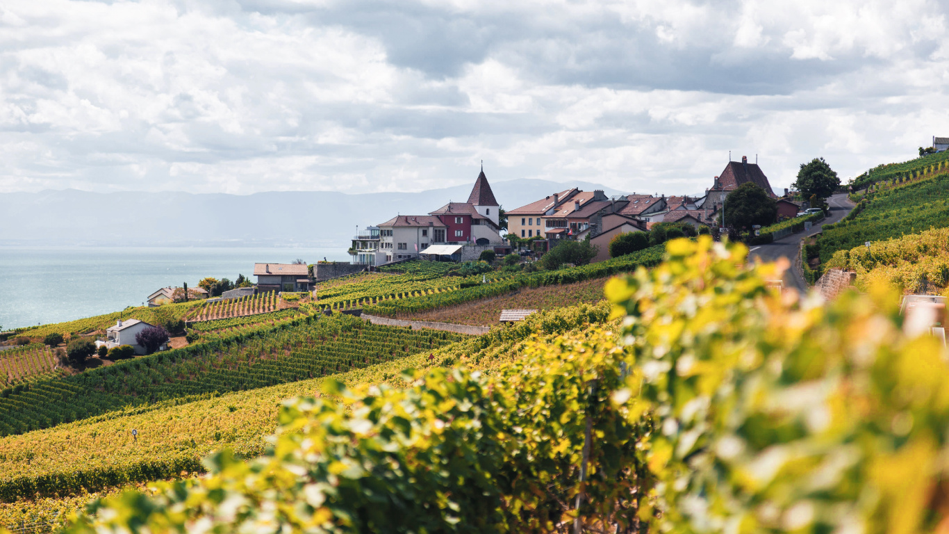 Conception, Culture, L'écorégion, Paysage Naturel, Bâtiment. Wallpaper in 1366x768 Resolution